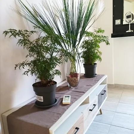 Jz Boutique Apartman
